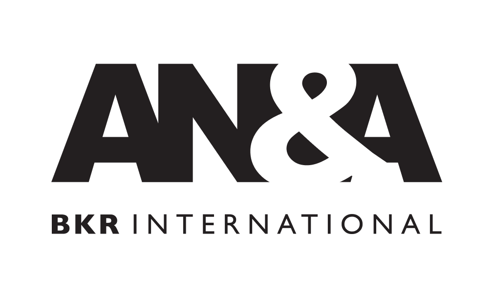 Abou Nasr & Associates