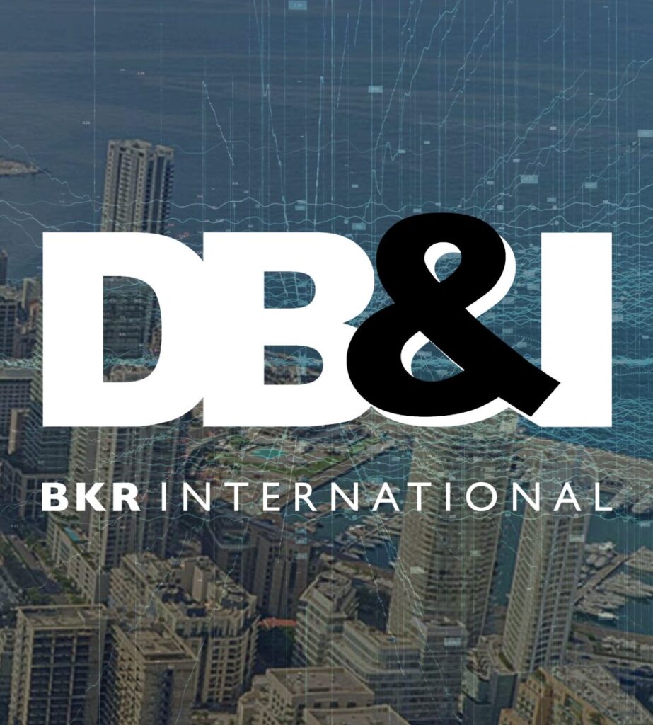 Fresh Look, Same Commitment: DBI LTD Launches Revamped Brand